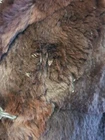 Picture 4 of 6