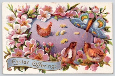 c1910s Easter Offerings Chicken Baby Chick Sparrows Butterfly Postcard