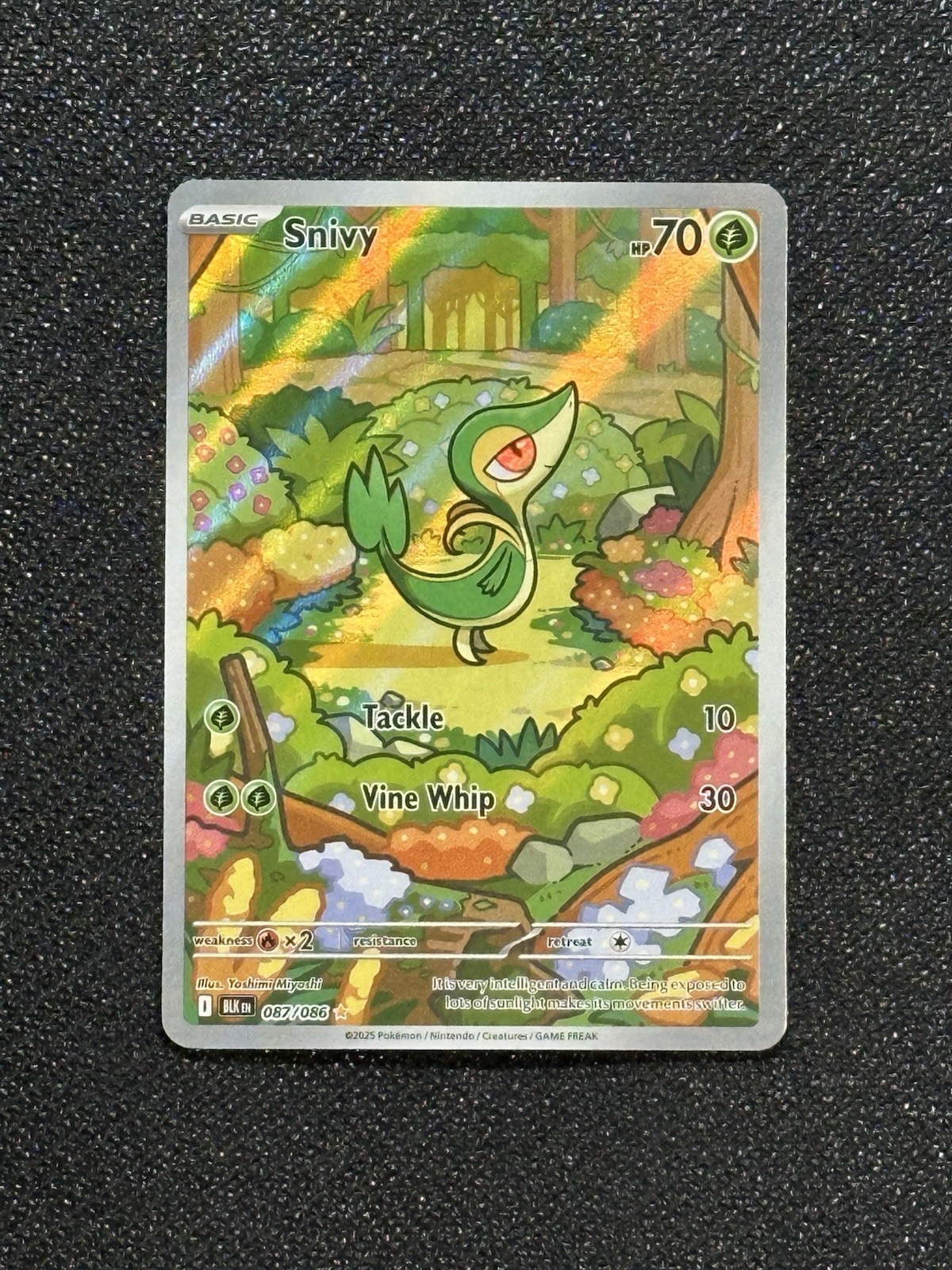 Snivy 087/086 Illustration Rare SV: Black Bolt - English Pokemon TCG NM