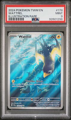 PSA 9 Wattrel Illustration Rare #178 2024 Pokemon TWM Masquerade