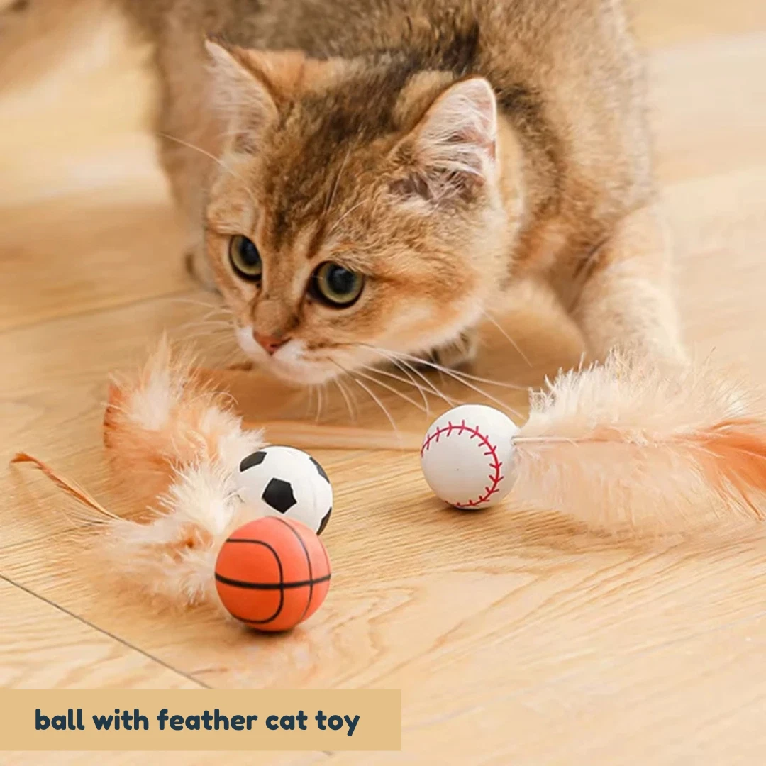 Ball with Feather Cat Toy | Interactive Bouncy Toy for Indoor Cats & Kittens
Opens in a new window o