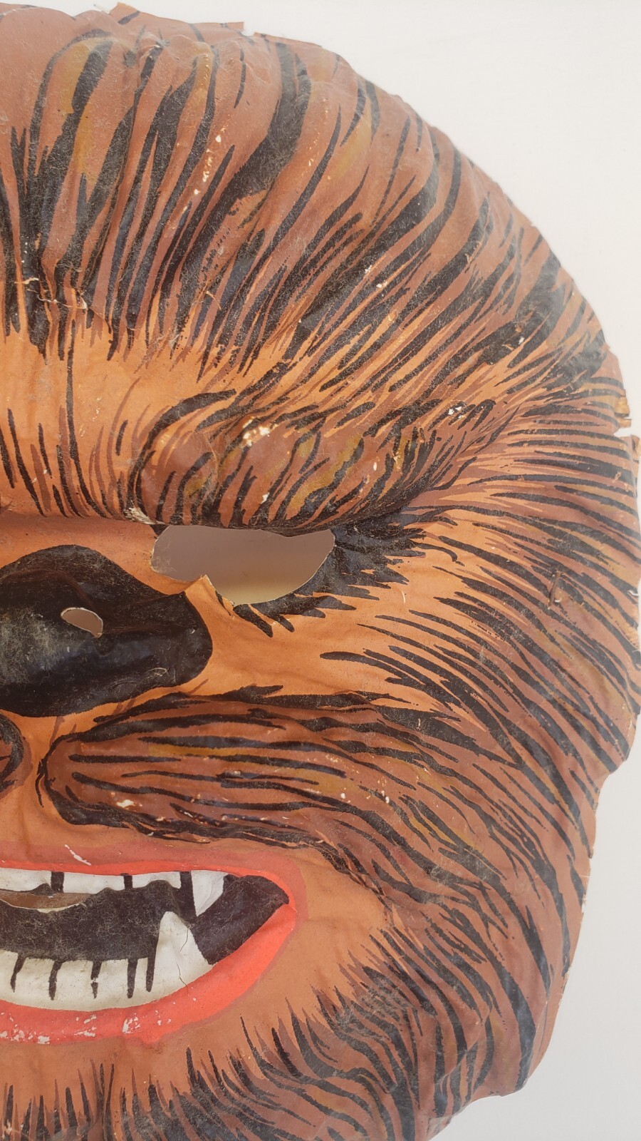 Picture 4 of 21