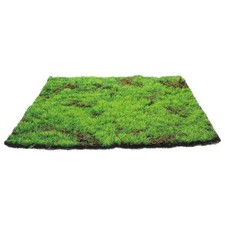 Synthetic Lawn Carpet Preserved Moss Mat Backyard Grass Artificial