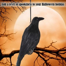 Realistic Hanging Dead Crow Decoy Lifesize Extra Large Crow Feathered Halloween