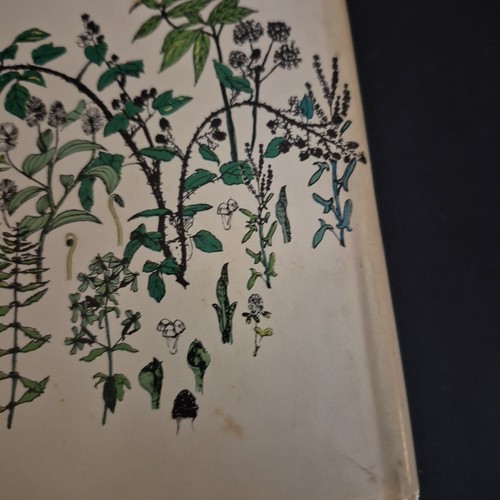 Using Wayside Plants Nelson Coon 1969 Vintage Hardcover Dust Jacket - Picture 10 of 18