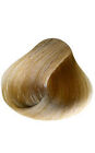 Bild 17 von 20