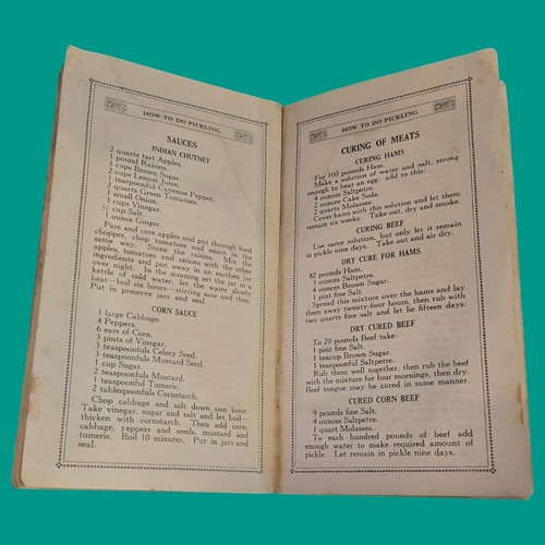 Dr. Jayne & Son's 1917 How to on Pickling, Sauces, & Meat Curing Antique Recipes - Picture 10 of 16