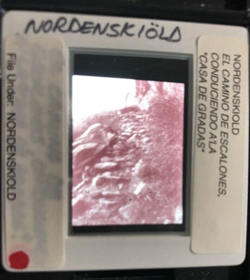 Gustaf Nordenskiold  Casa De Gradas   Swedish Modern Photography 35mm Art Slide