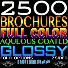 PERSONALIZED 2500 BROCHURE 8.5" X 11" FULL COLOR 2 SIDED 100LB GLOSSY FOLDED
