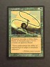 Quirion Dryad Planeshift NM-/LP MTG Magic the Gathering a