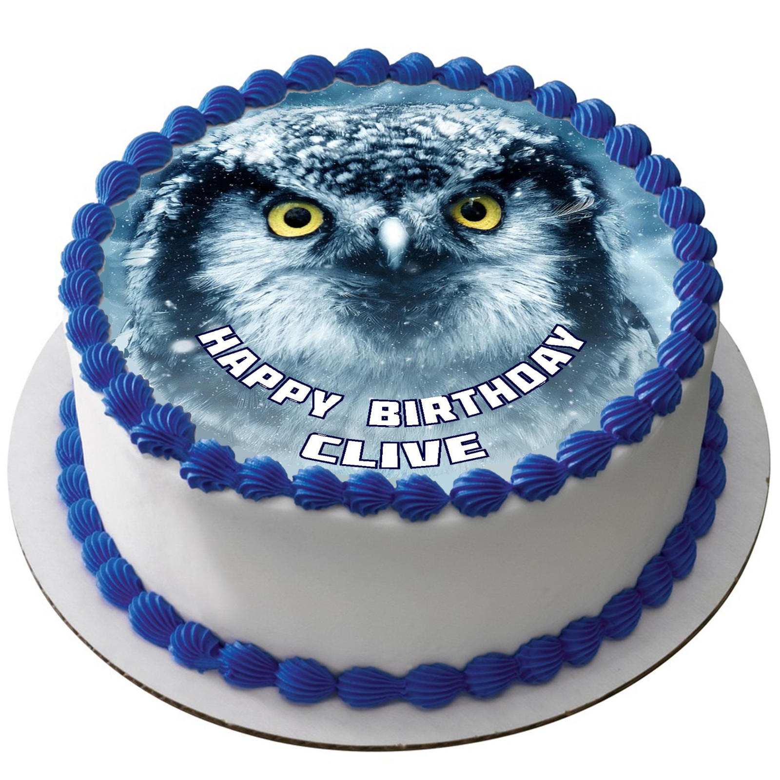 OWL 7.5"" ROUND ICING EDIBLE PREMIUM CAKE TOPPER 19CM DIAMETRE BIRD D6