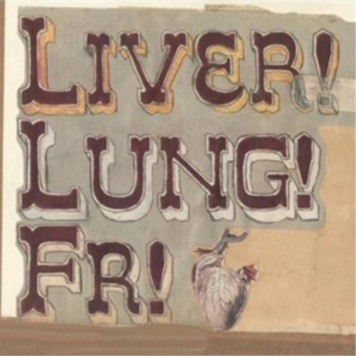Frightened Rabbit Quietly Now!: Liver! Lung! Fr! (CD) Album
