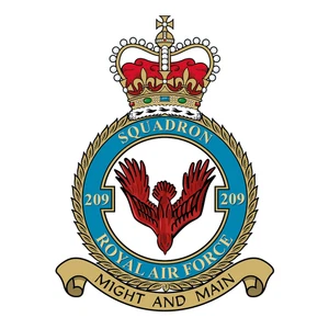 No. 209 Squadron RAF badge patch Self Adhesive Vinyl Sticker