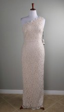 ADRIANNA PAPELL NWT 199 One Shoulder Column Lace Maxi Gown Dress Size 14