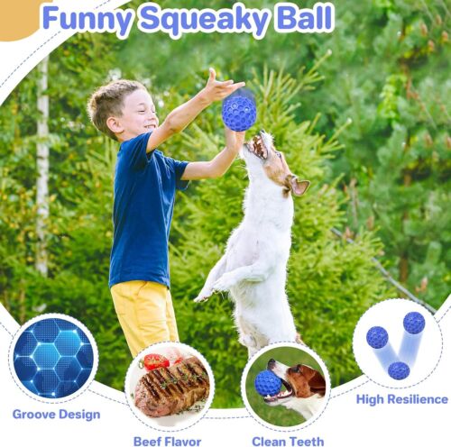 An indestructible squeaky dog ball can relieve anxiety and clean the teeth. - Picture 4 of 5