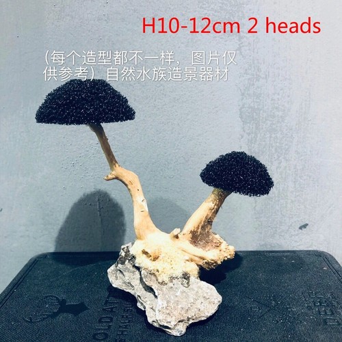 Aquarium Moss Tree Driftwood Fish Tank Landscaping Water Grass Moss Tree Trunk - 第 17/27 張圖片