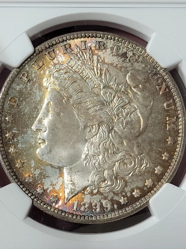 1899 0 $1 Morgan Dollar NGC MS66 Toned