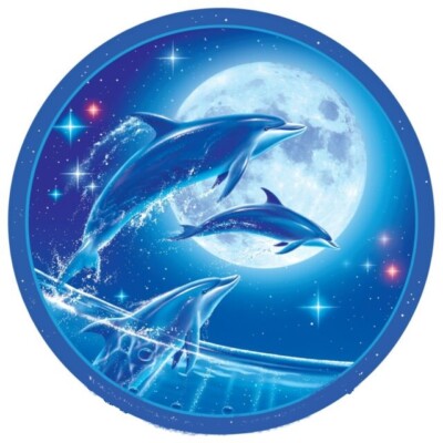 DOLPHIN MOON NIGHT OCEAN STAR SWIM Pendant On 20'' 925 Sterling Silver Necklace 