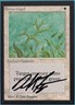 Green Ward Collectors' Edition - International NM SIGNED CARD (387721) ABUGames