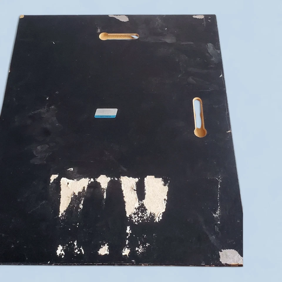 Danica Patrick Wood Picture Plaque NASCAR Decor #10 Stewart-Hass Racing Godaddy - Image 3 of 3