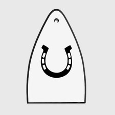 GUITAR TRUSS ROD COVER - Engraved Etch - Fit Paul Reed Smith PRS USA - HORSESHOE