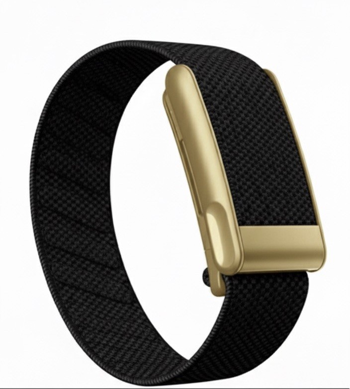 New WHOOP MG /5.0 Black Band with Gold Clasp/hook/link. One/peak/life