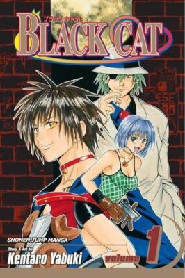Black Cat 英語版　漫画　English Manga Black Cat Vol 1 Used Manga English Language Graphic Novel Comic