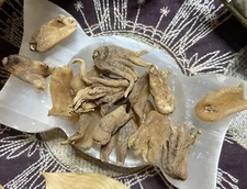 One Lucky Hand Root, Good Luck, Success, Gain Employment, Protection, Money