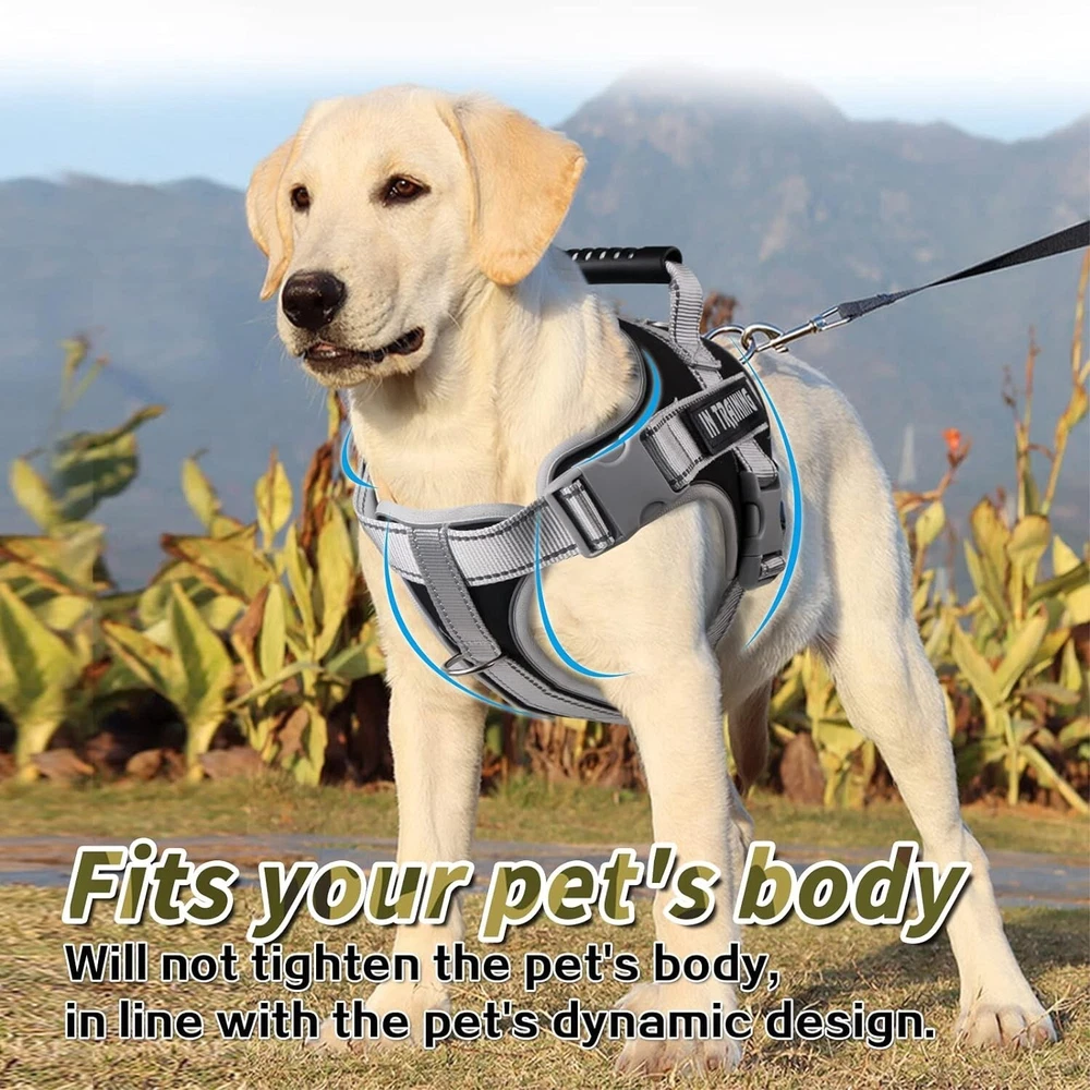 Dog Harness, Adjustable Dog Body Belt For Large Dogs With Copybook Dog Vest (XL