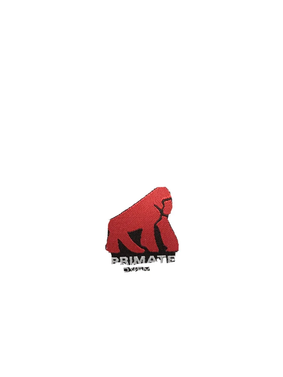 Primate posture shop brace