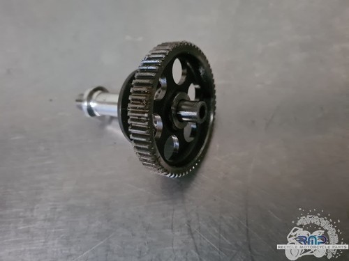 Anlasserritzel BMW S1000RR 2009 bis 2014