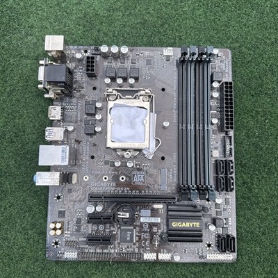 GIGABYTE GA-B250M-DS3H LGA 1151 Intel B250 HDMI Micro ATX Intel Motherboard