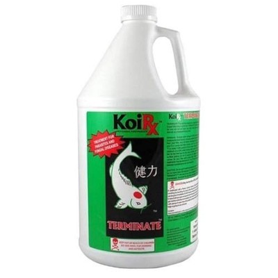 Aqua Meds Terminate Fungal Infection Fish Treatment 1 gal. TERM128