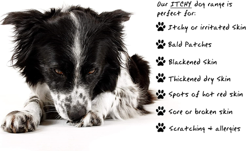 petnat dermacton spray