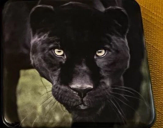 Chantecaille Limited Edition Black Jaguar Eye Shadow Quartet Palette New In Box - Image 3 of 3