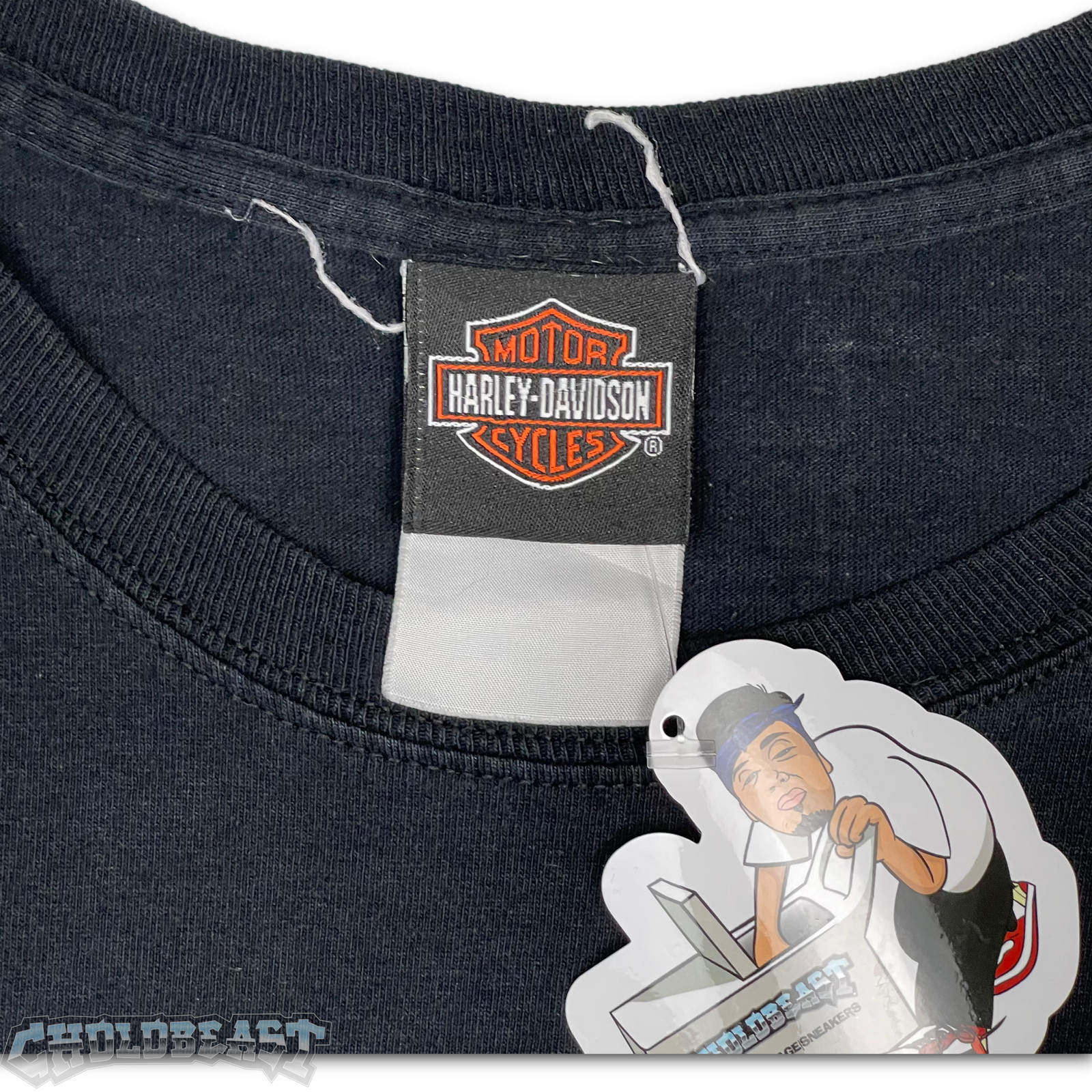 Y2K Harley Davidson Copper Canyon Worn T Shirt 2XL 20… Gem