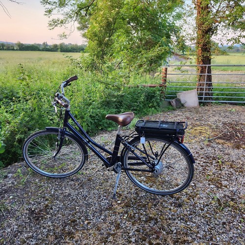 pendleton electric bike
