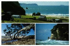 Onemana Beach Resort Coromandel Peninsula New Zealand Postcard