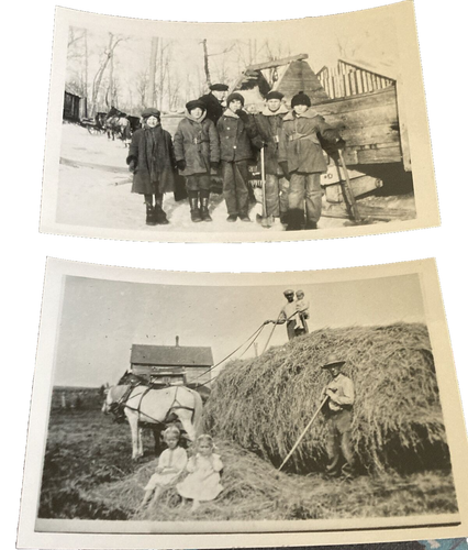 Vintage Unused Photo Album with 26 Photos 1920s or 1930s Family, Children, Farm - Picture 19 of 21