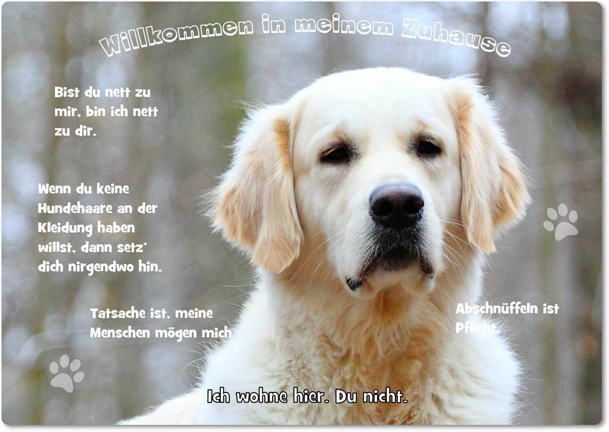 AdriLeo Warnschild 'Vorsicht Golden Retriever' – 30x40 Cm, Wetterfest Aus Aluminium, Für Garten & Haustür