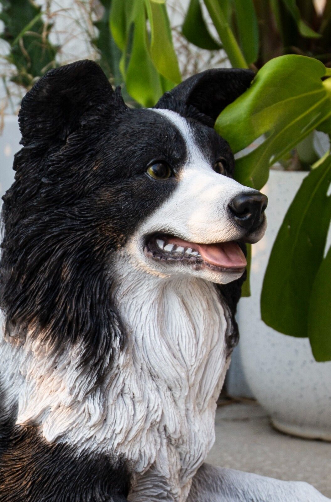 Bordr Collie Puppy Is Lying In The Garden Stock Photo, Picture and Royalty  Free Image. Image 85103562.