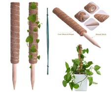 Moostab 2 Stück 40 cm Kokos Totem Kriecher Pflanzenstütze Klettern Erweiterung Garten