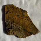 UTAH YELLOW FEATHER SLAB ~ 39  grams / rough agate jasper mineral rock — photo 5