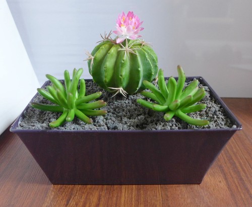 3 Pcs Artificial Plants Pink Blooming Cactus Ball Mini Succulents Grass - Picture 3 of 3