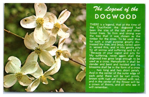 Postal de poema Legend of Dogwood - Imagen 1 de 2