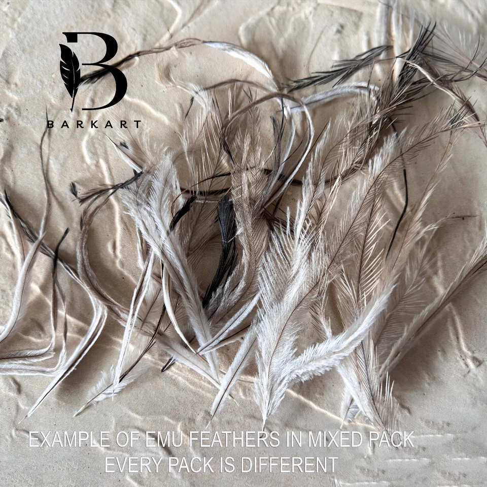 100  Australian EMU Mixed Feathers SLOUCH HAT, FLY FISHING, MILLINERY, EARRINGS - image 3 of 4