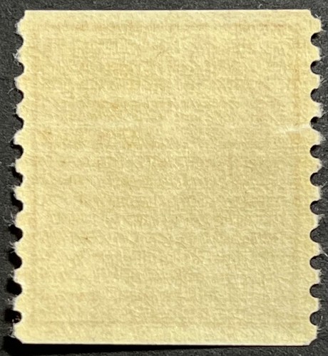 US Presidential Series, Scott #847, 10c John Tyler Coil, MNH, F-VF w/Small Tear - Picture 2 of 3