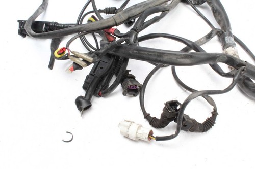 Kabelbaum Hauptkabelbaum Ducati ST4S st4s/01 01-03 - Bild 5 von 6