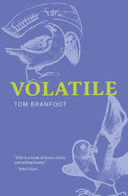 Volatile - Image 3