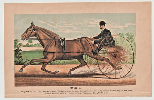 Antique 19th C. Original Chromolithograph Maud S. Harness racing Horse print